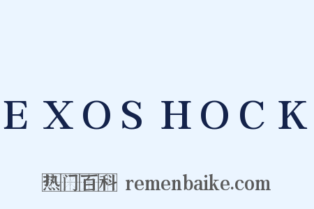 EXOSHOCK是什么意思的图片